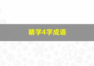 睛字4字成语