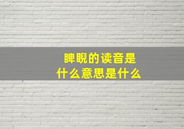 睥睨的读音是什么意思是什么