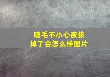 睫毛不小心被拔掉了会怎么样图片