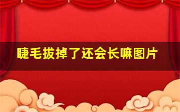 睫毛拔掉了还会长嘛图片