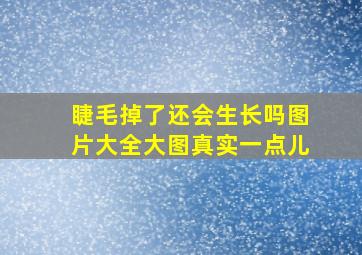 睫毛掉了还会生长吗图片大全大图真实一点儿