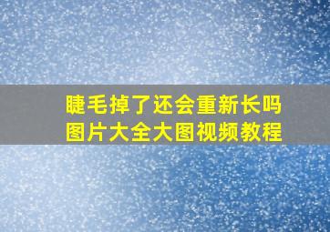 睫毛掉了还会重新长吗图片大全大图视频教程