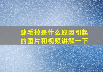 睫毛掉是什么原因引起的图片和视频讲解一下