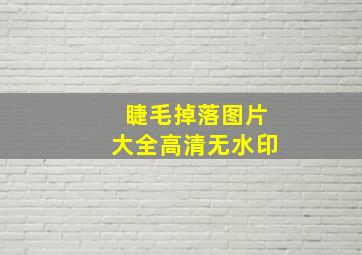 睫毛掉落图片大全高清无水印