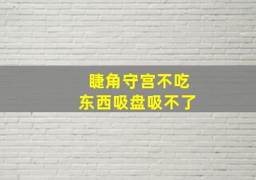 睫角守宫不吃东西吸盘吸不了