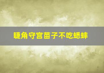 睫角守宫苗子不吃蟋蟀