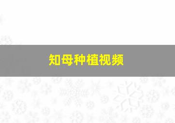 知母种植视频