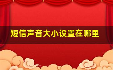 短信声音大小设置在哪里