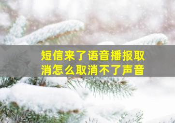 短信来了语音播报取消怎么取消不了声音