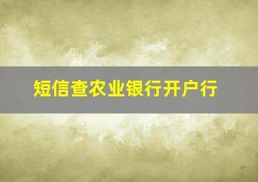 短信查农业银行开户行