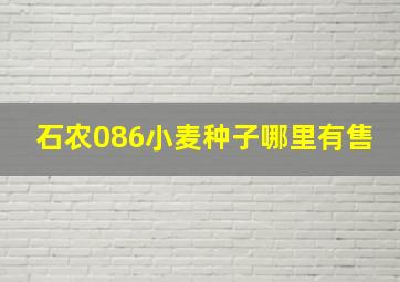 石农086小麦种子哪里有售