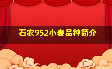 石农952小麦品种简介