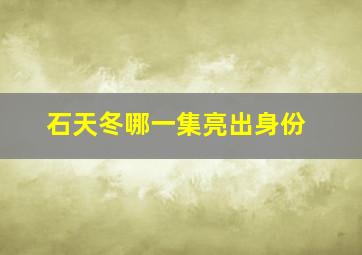 石天冬哪一集亮出身份