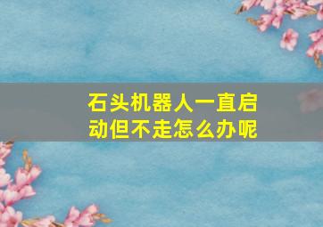 石头机器人一直启动但不走怎么办呢