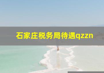 石家庄税务局待遇qzzn