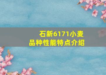 石新6171小麦品种性能特点介绍