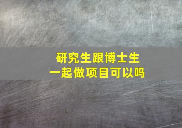 研究生跟博士生一起做项目可以吗