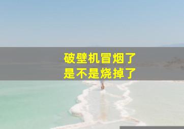 破壁机冒烟了是不是烧掉了