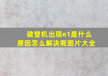 破壁机出现e1是什么原因怎么解决呢图片大全