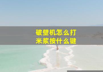 破壁机怎么打米浆按什么键