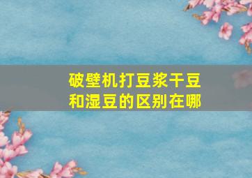 破壁机打豆浆干豆和湿豆的区别在哪