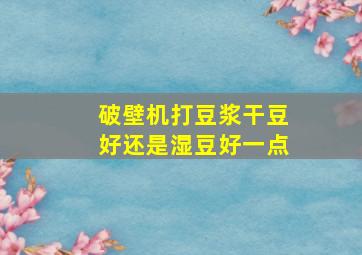 破壁机打豆浆干豆好还是湿豆好一点