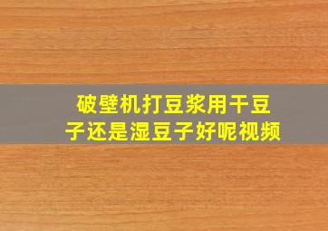 破壁机打豆浆用干豆子还是湿豆子好呢视频