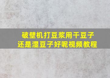 破壁机打豆浆用干豆子还是湿豆子好呢视频教程