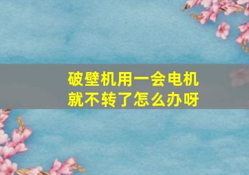 破壁机用一会电机就不转了怎么办呀