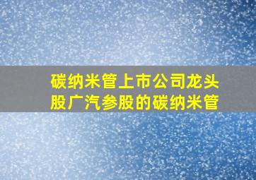 碳纳米管上市公司龙头股广汽参股的碳纳米管