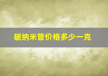 碳纳米管价格多少一克