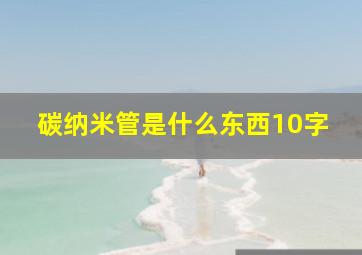 碳纳米管是什么东西10字