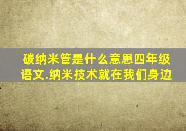 碳纳米管是什么意思四年级语文.纳米技术就在我们身边