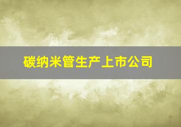 碳纳米管生产上市公司