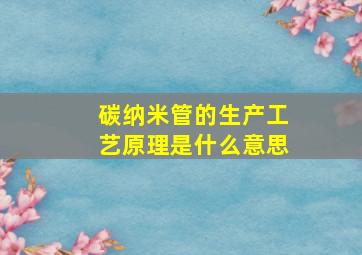 碳纳米管的生产工艺原理是什么意思