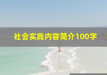 社会实践内容简介100字