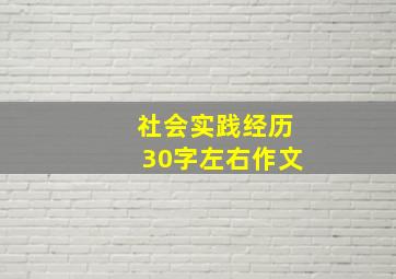 社会实践经历30字左右作文