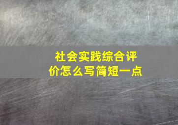 社会实践综合评价怎么写简短一点