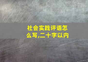 社会实践评语怎么写,二十字以内