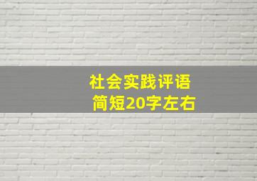 社会实践评语简短20字左右