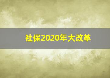 社保2020年大改革