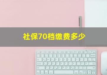 社保70档缴费多少