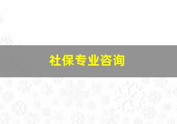 社保专业咨询