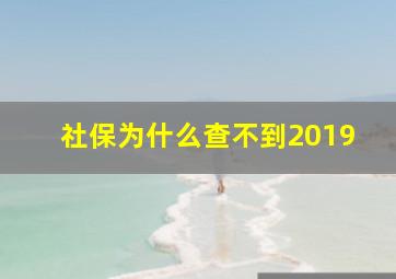 社保为什么查不到2019