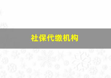 社保代缴机构