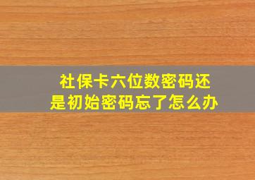 社保卡六位数密码还是初始密码忘了怎么办