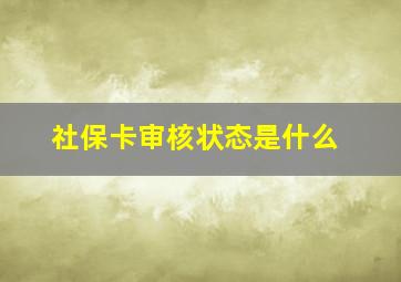 社保卡审核状态是什么