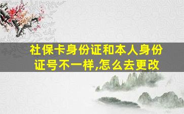 社保卡身份证和本人身份证号不一样,怎么去更改