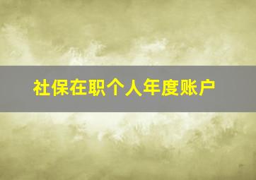 社保在职个人年度账户