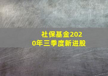 社保基金2020年三季度新进股